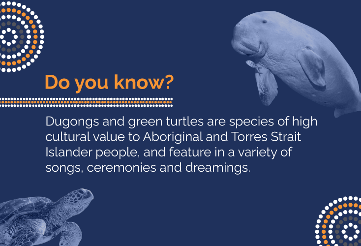 Did You Know?